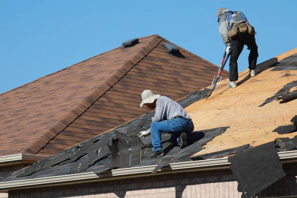 Best Siding  in Florence, SC